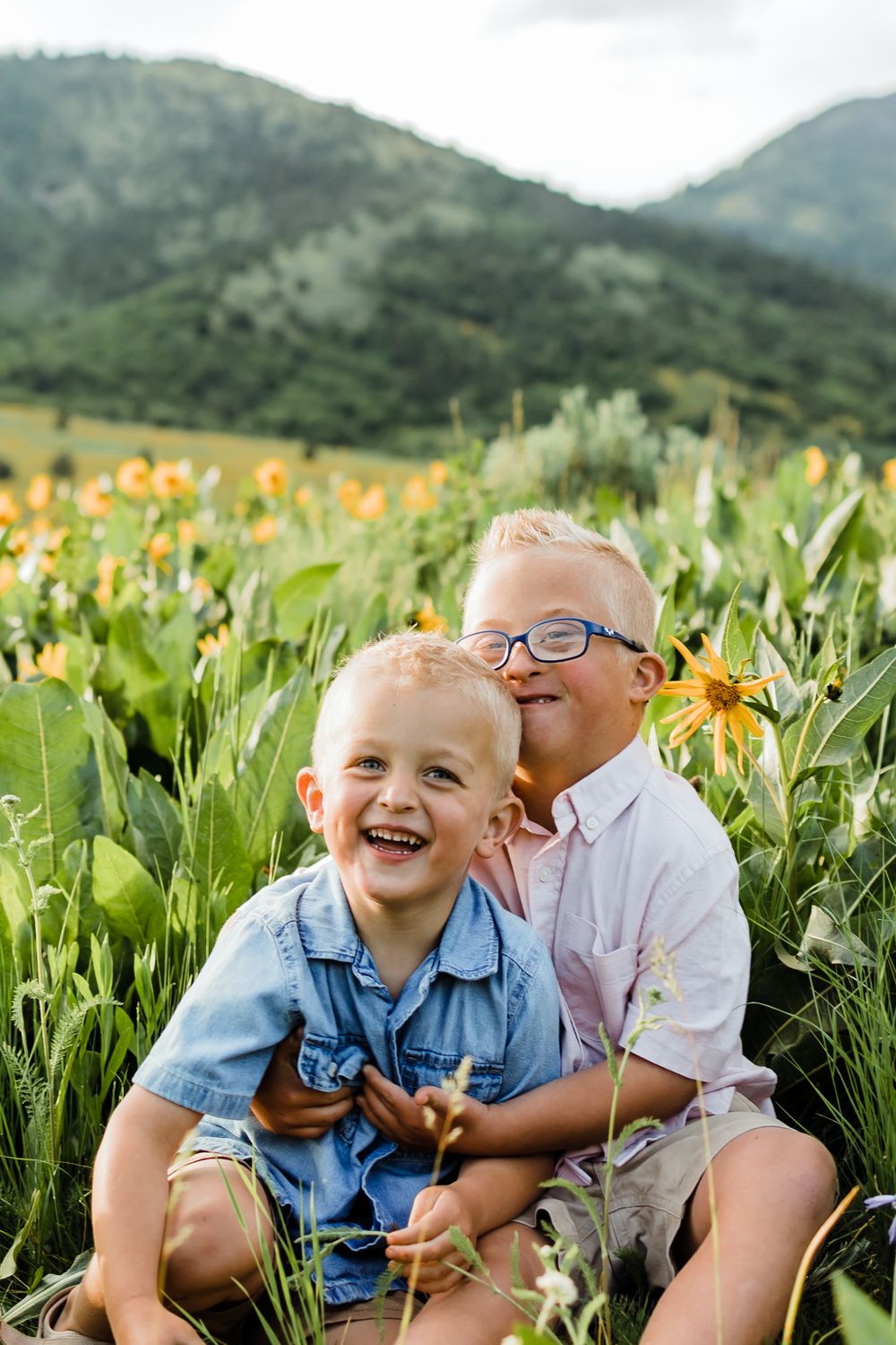 Northern Utah Mountain Field Family Photos