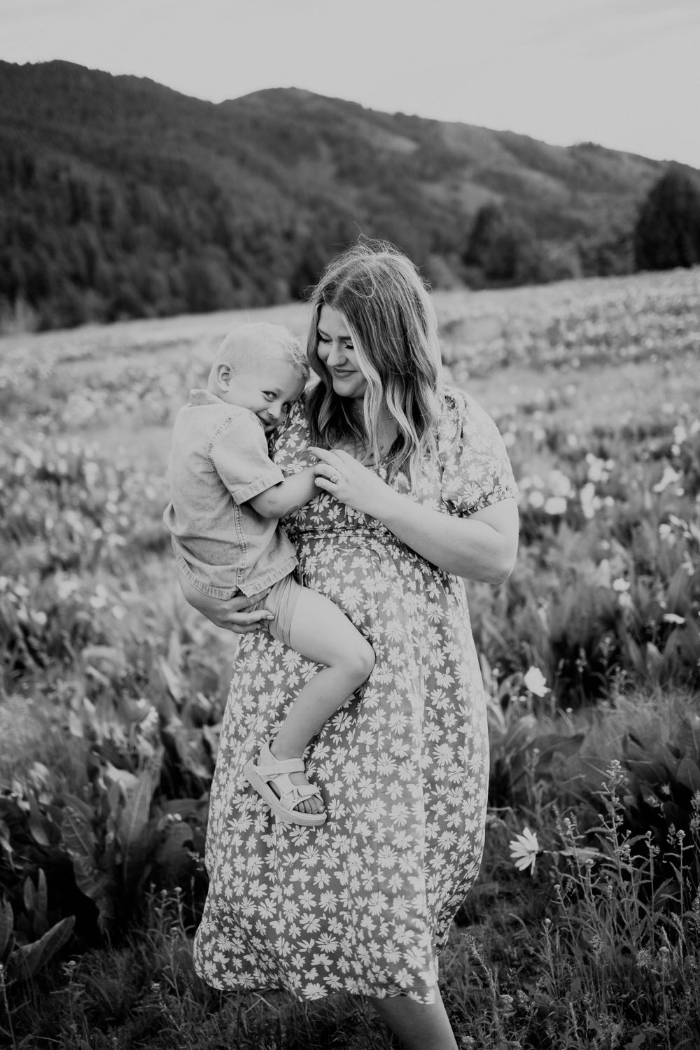 Northern Utah Mountain Field Family Photos