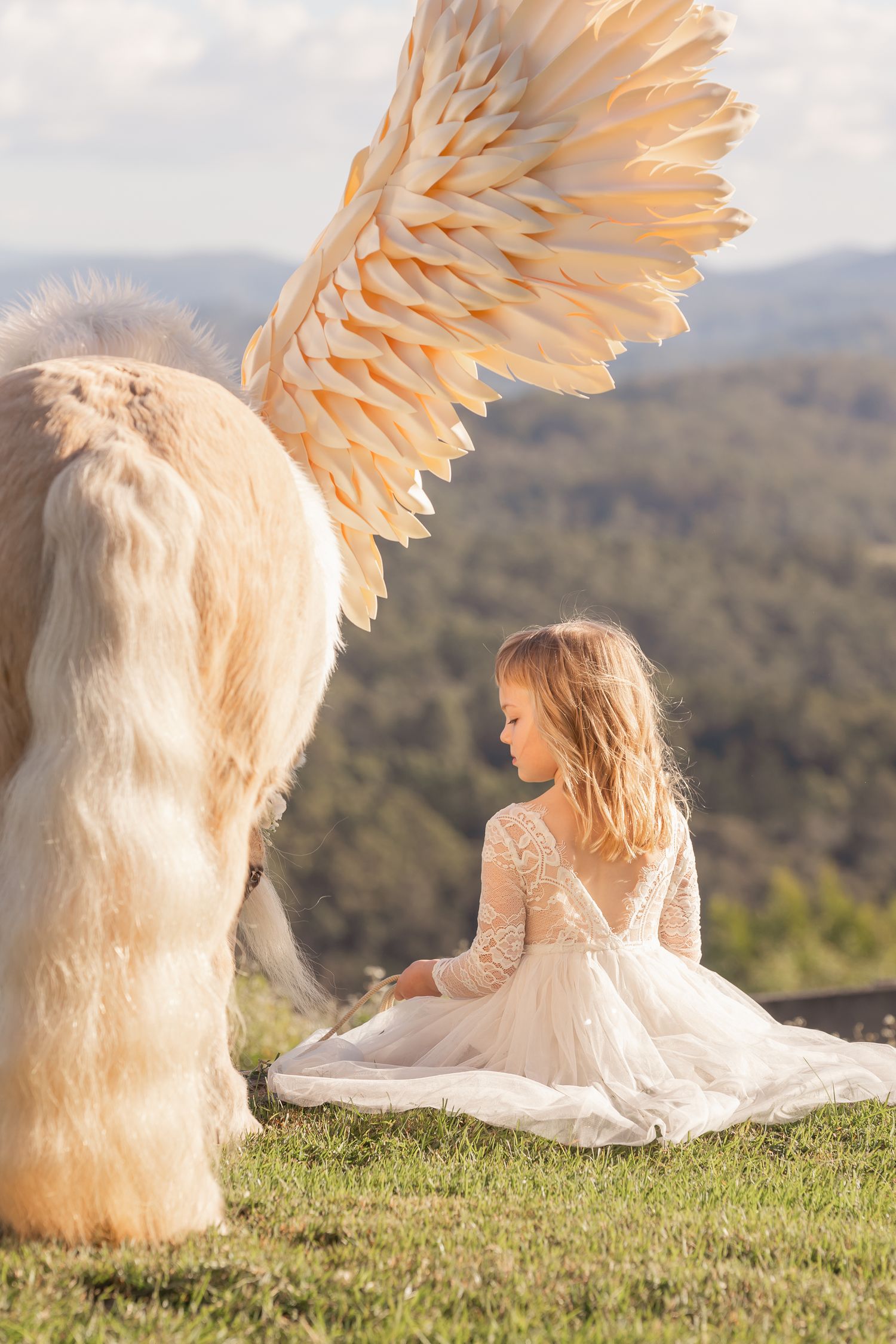 Large white angel wings and flowing dress captured on a grassy hilltop at sunset.
