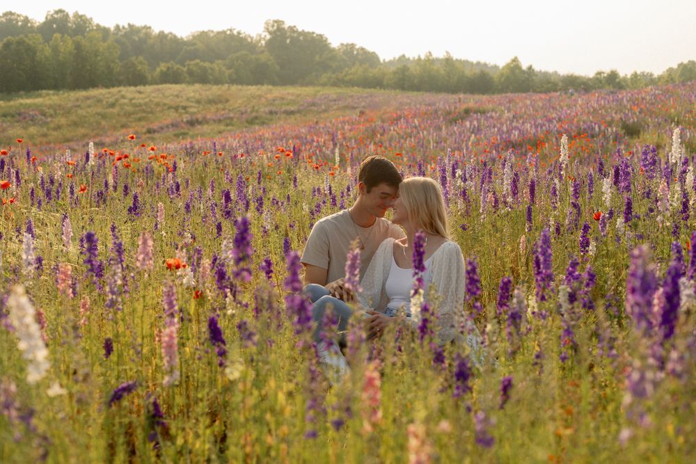 Sunset engagement photo session in a field of purple wildflowers.