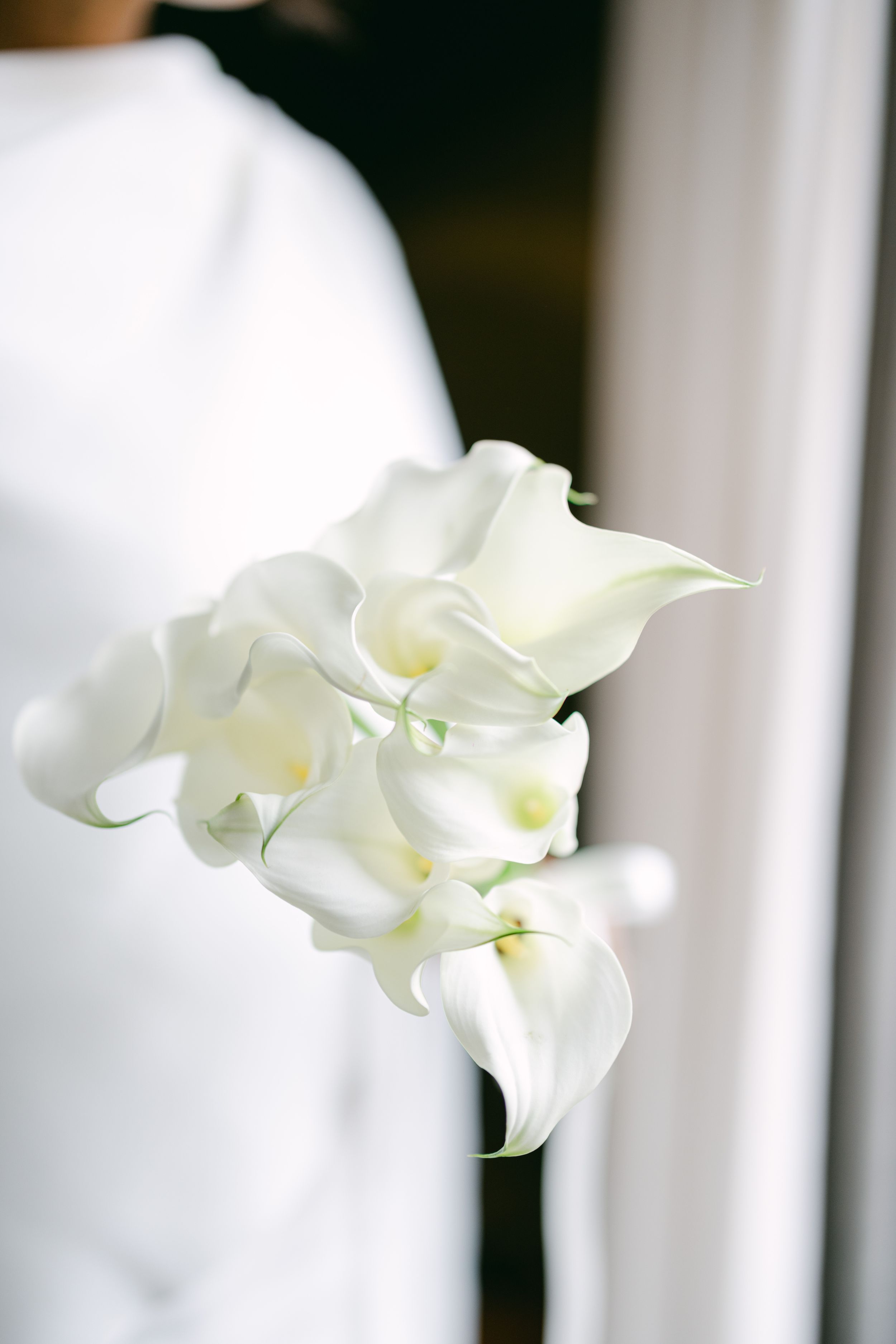 Delicate arrangement of pure white calla lilies against light background.