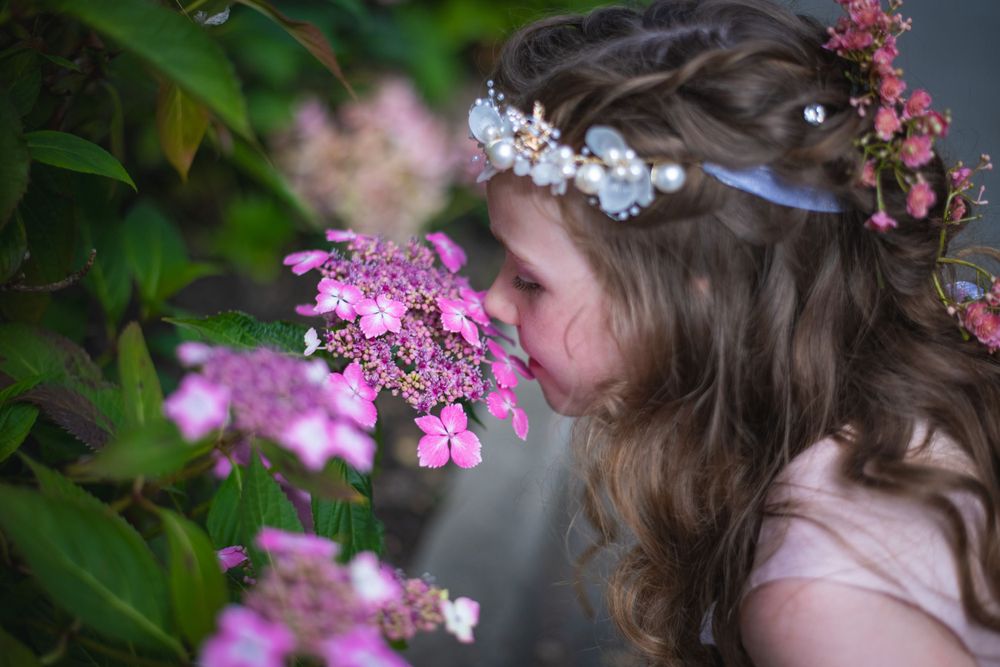 Artistic floral photograph showing pink blooms against green garden backdrop.