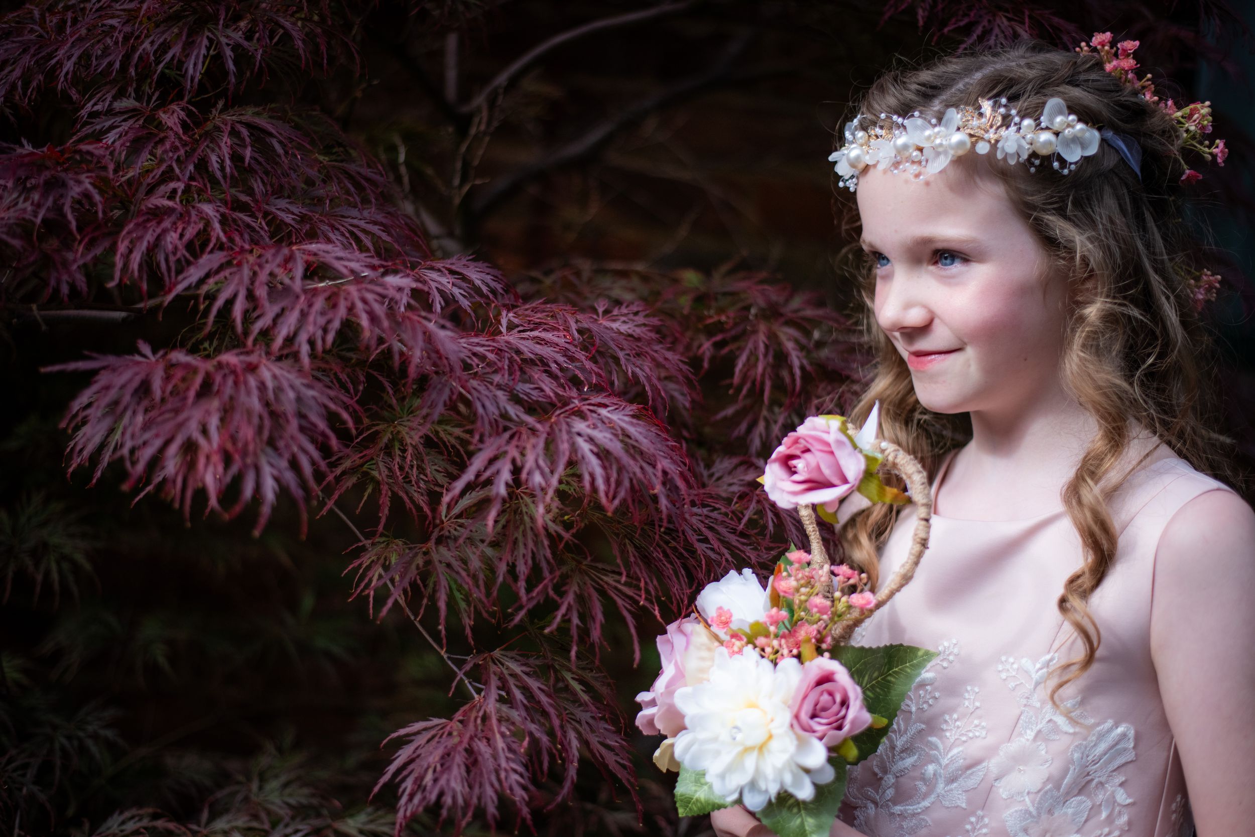 Romantic garden portrait with pink roses against purple maple foliage.
