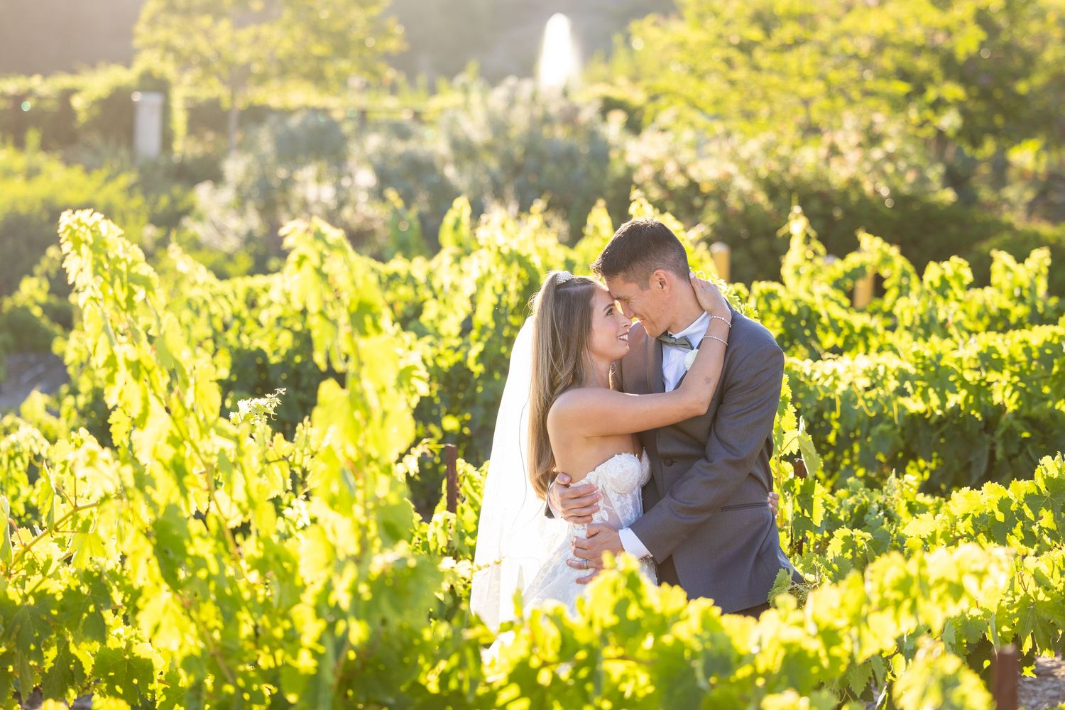 A couple shares an intimate moment among sunlit vineyard rows.
