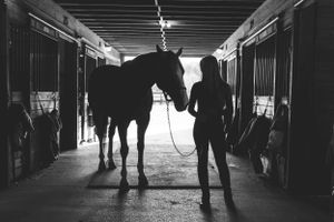Silhouette of person leading horse through dimly lit stable hallway.
