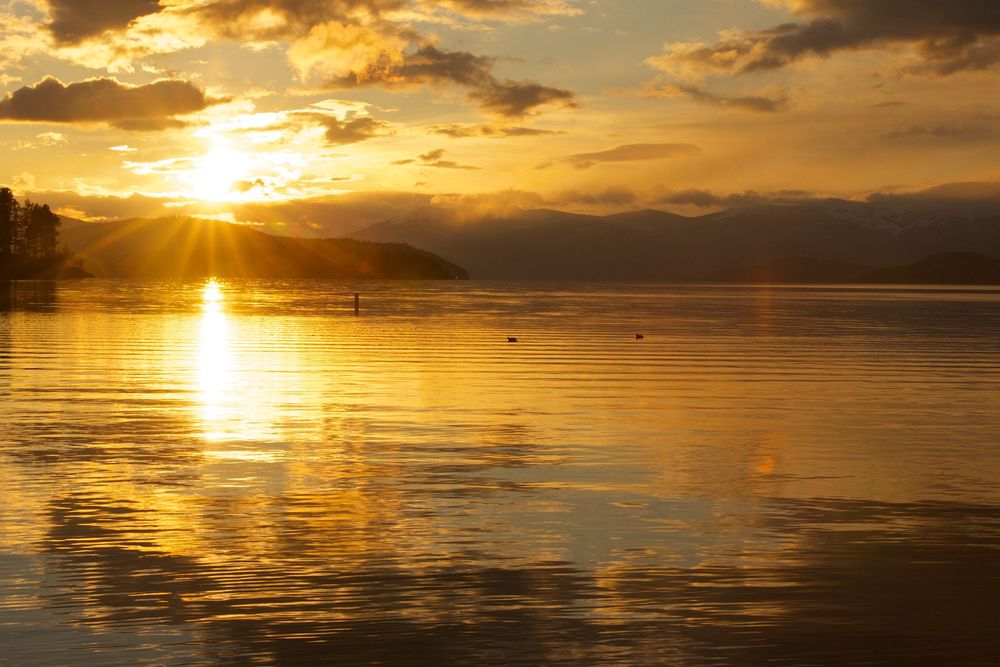 Golden sunset reflects on calm ocean waters creating a dramatic orange and yellow sky over the horizon.