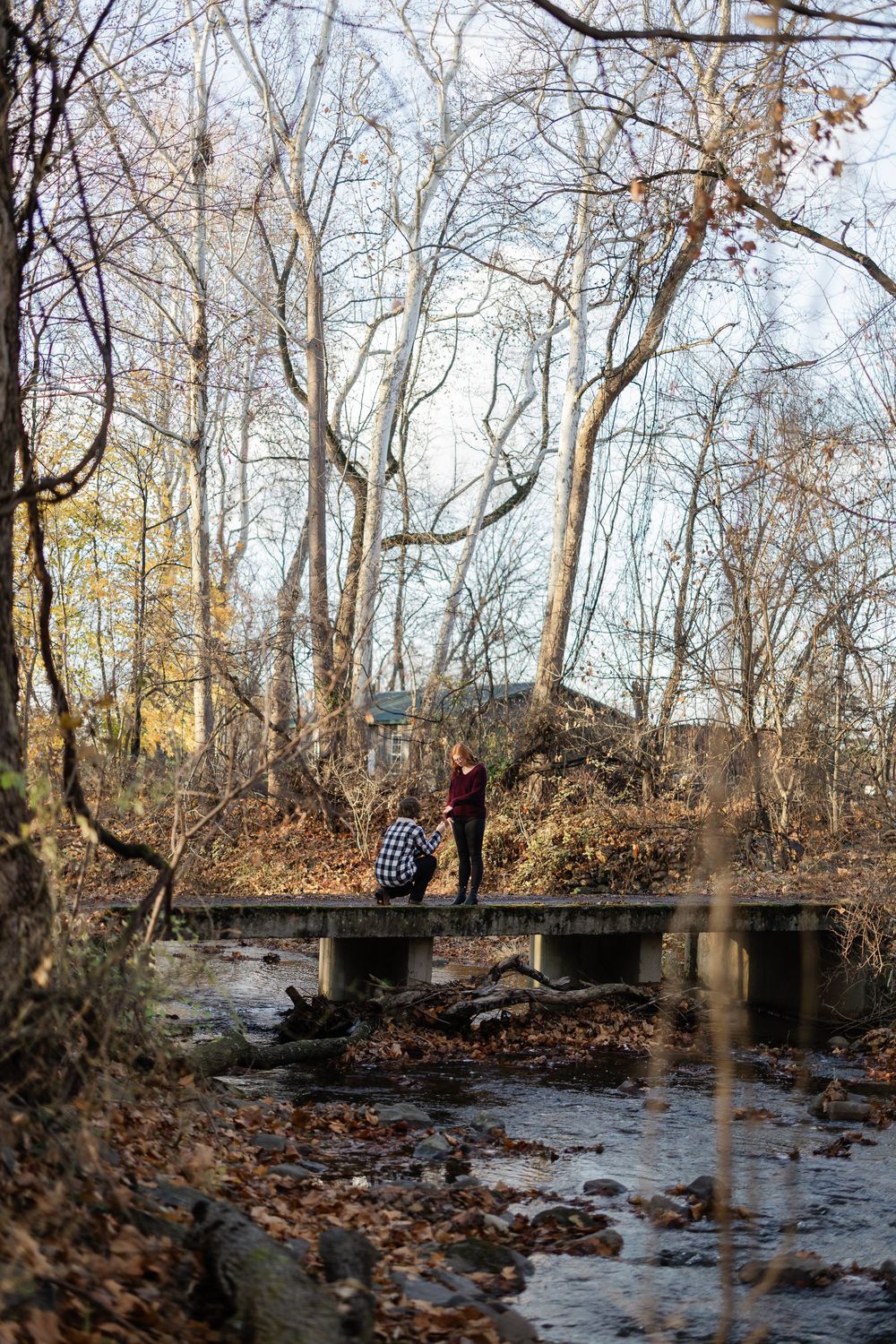 A sequence of winter forest scenes showing a small stream with stone bridges and bare trees in the background.