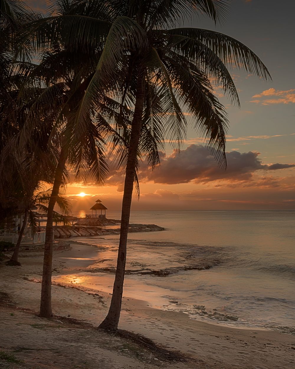 Palm trees frame a tropical beach sunset with gentle waves lapping at the sandy shore.