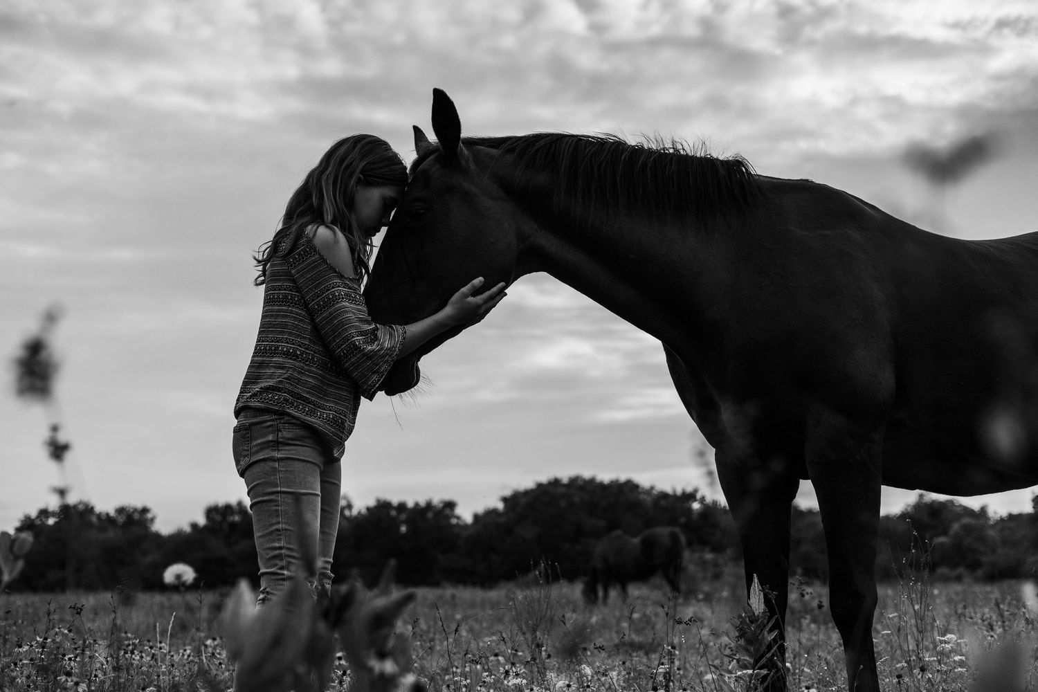 Silhouette of a person petting a horse against a dramatic sunset sky.
