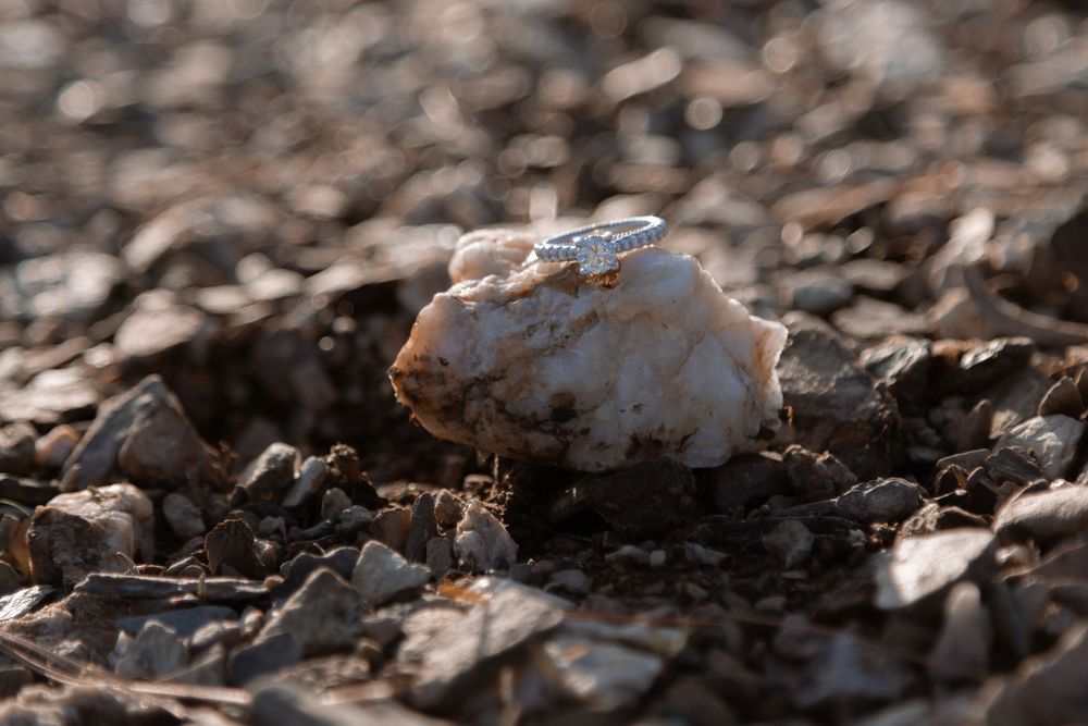Wedding rings rest on a textured rock surface with natural lighting.