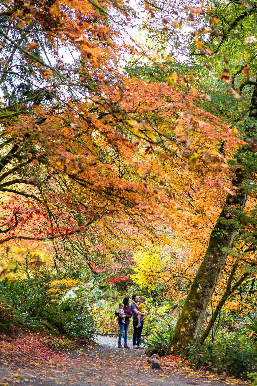 Parents walking with children in the forest at the Seattle Arboretum.