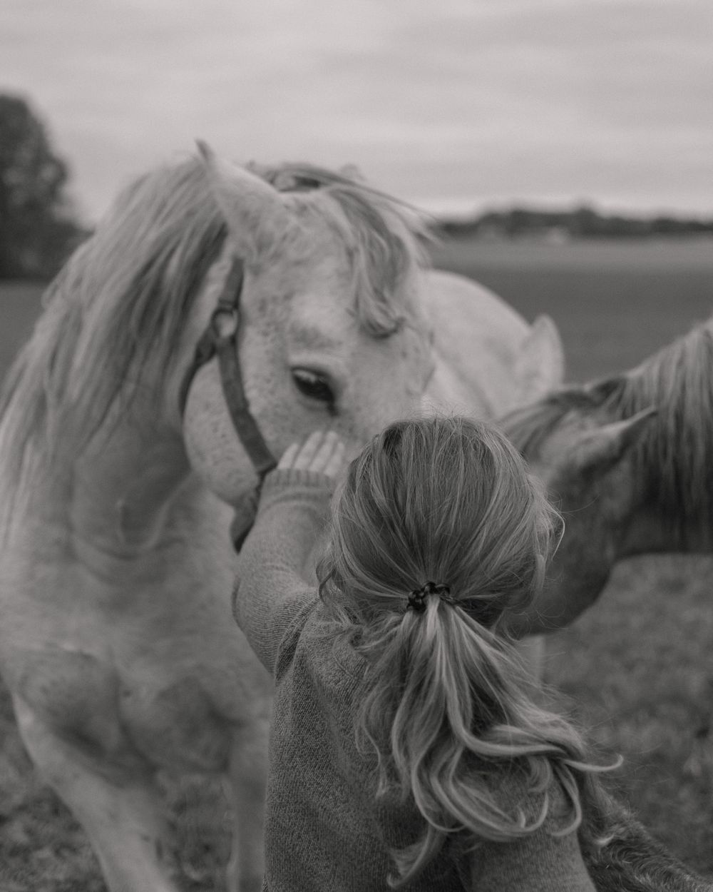 little girl petting a horse