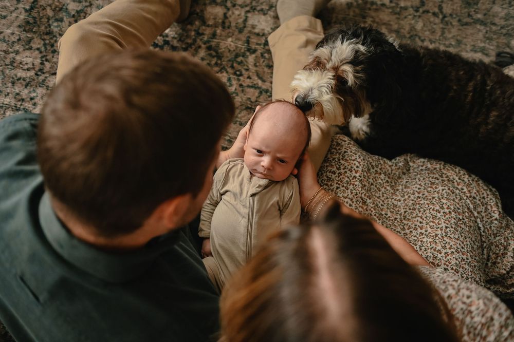 Central Ma newborn photographer with dogs
