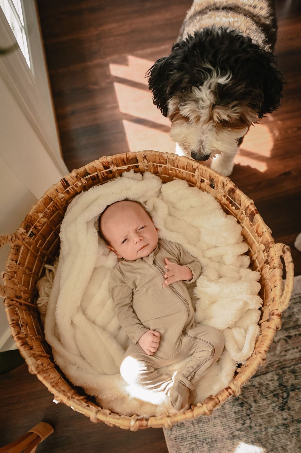 Worcester Ma newborn photographer near me