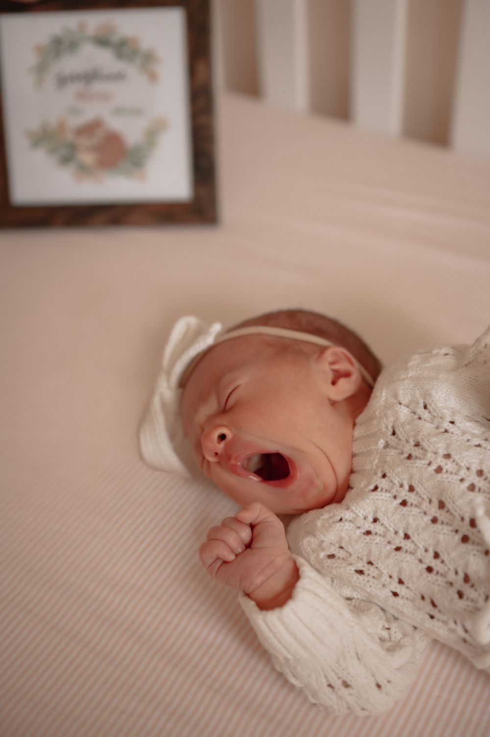Rutland MA newborn photographer