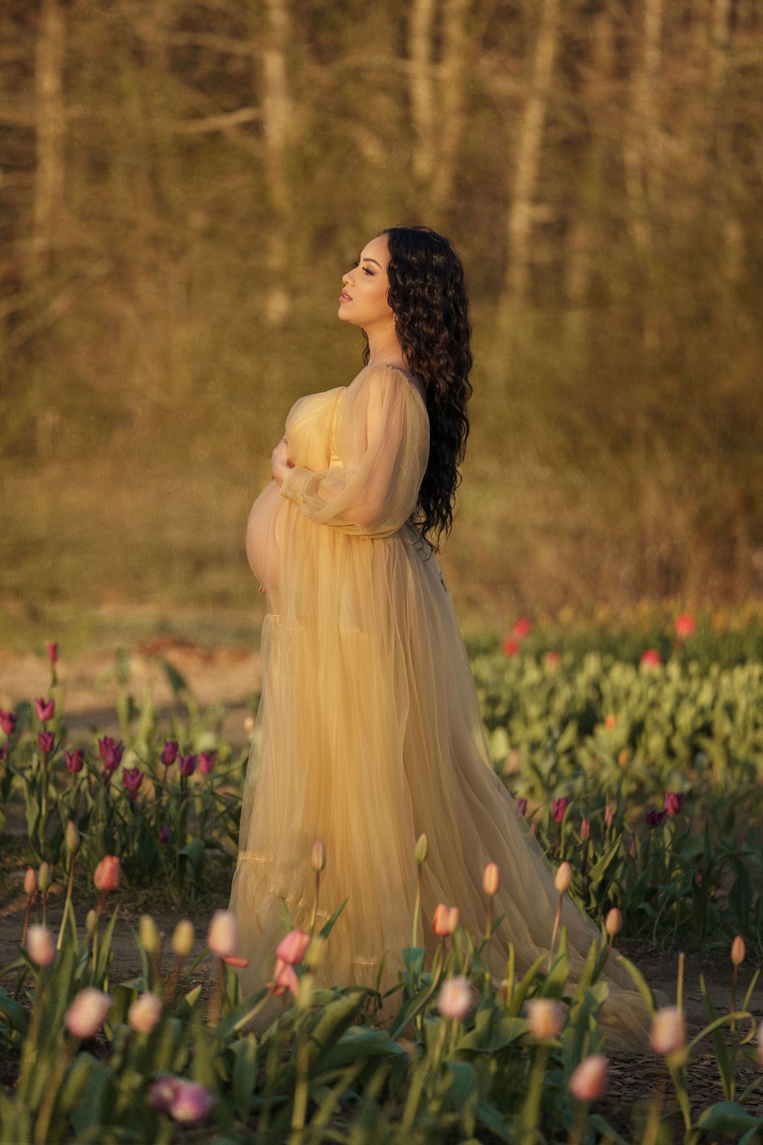 Ethereal maternity photoshoot in a garden with flowing gold dress and blooming tulips at sunset.