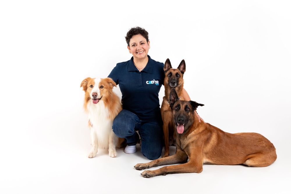 sesiones-para-perros