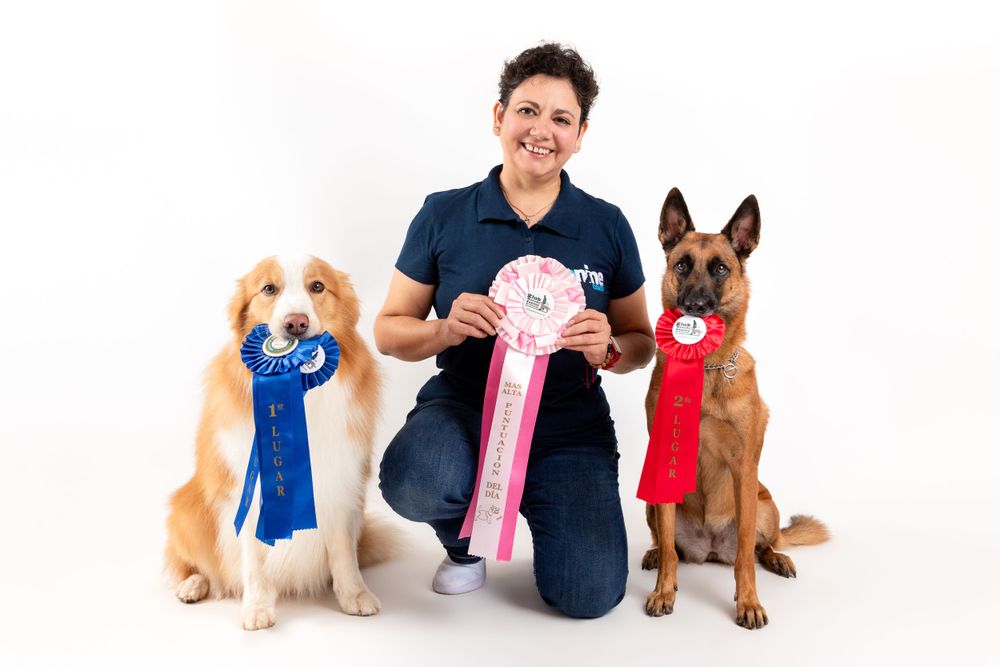 sesiones-para-perros