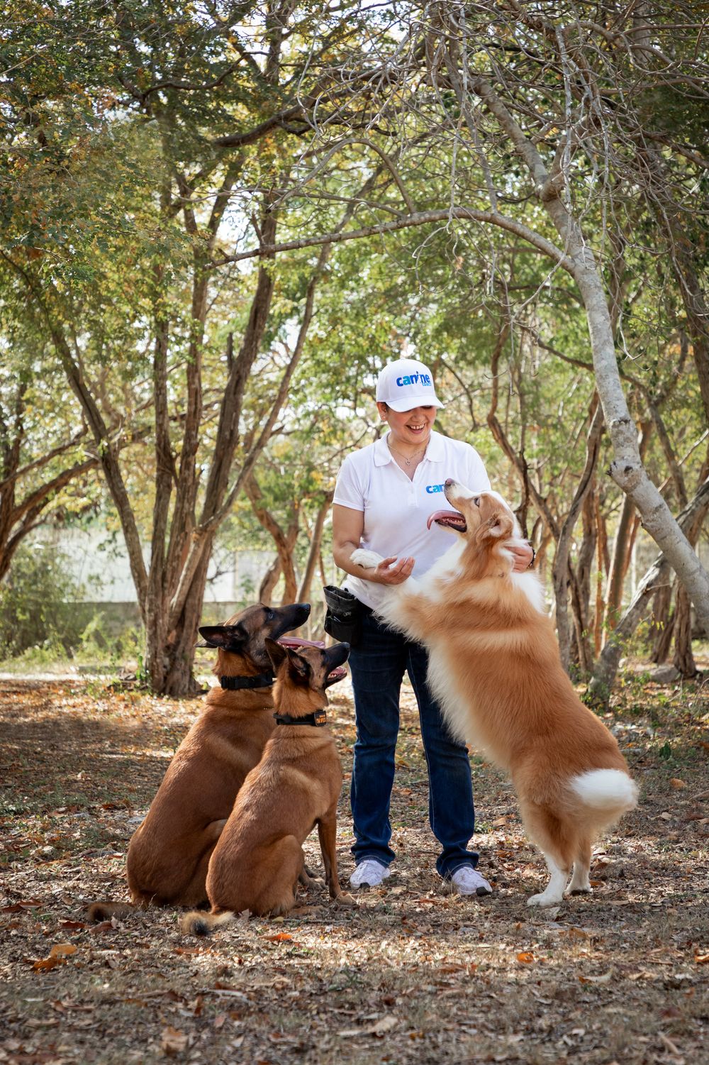 fotografia-canina