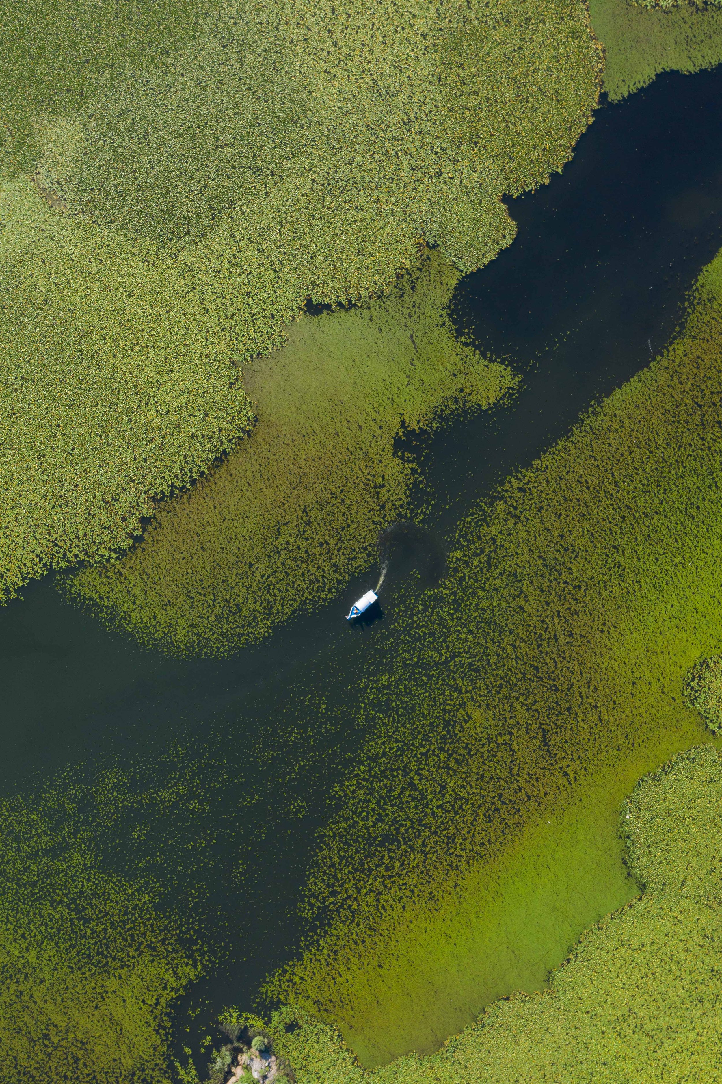 Aerial view of a small boat navigating through green marshlands and dark water channels.