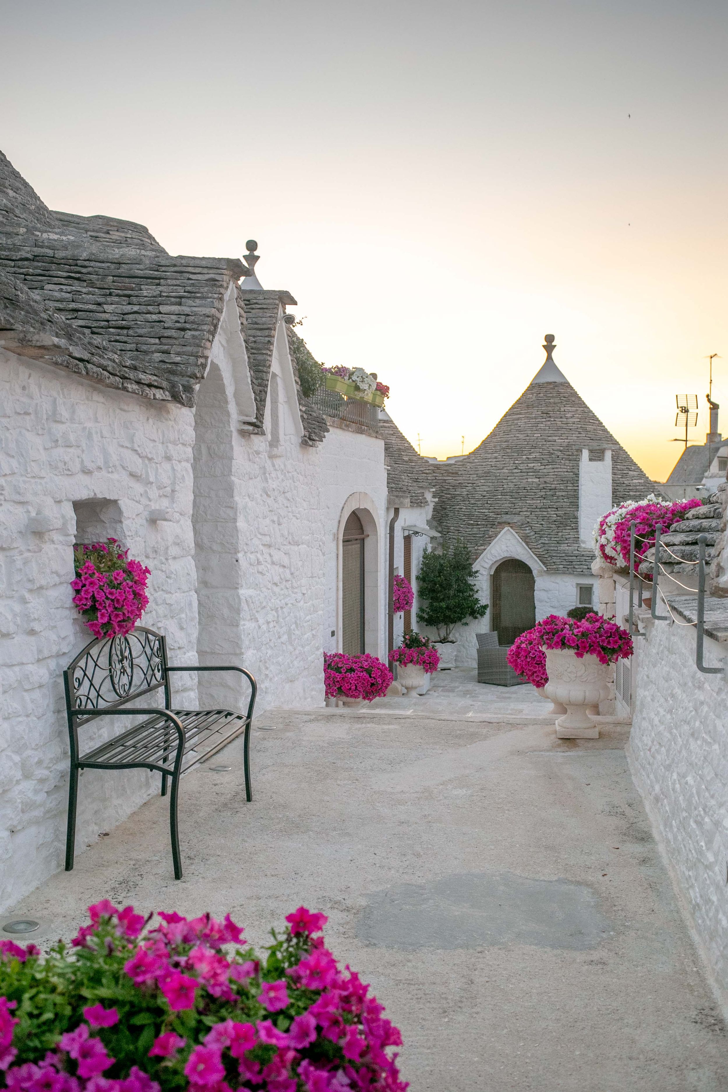 White trulli houses with conical roofs decorated with bright pink flowers in Alberobello, Italy.