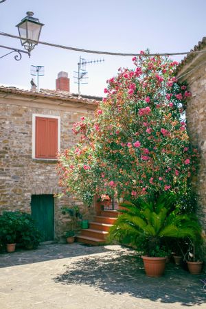 Stone courtyard with blooming pink flowers and traditional street lamp in Italian village.
