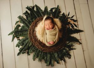 Affordable Newborn Photography Photographer Professional New baby posing first birthday birth maternity Traci Lynn Mabank Texas Tyler East