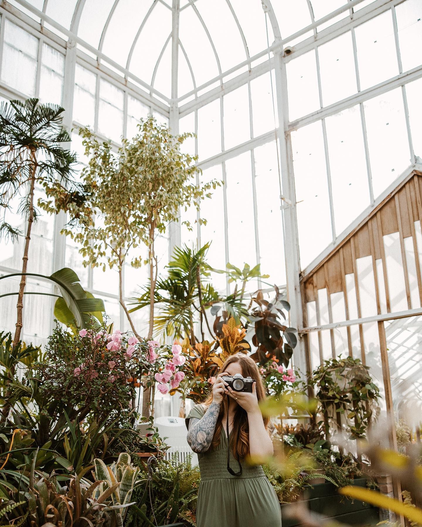 A conservatory filled with lush plants and natural light streaming through glass ceiling panels.
