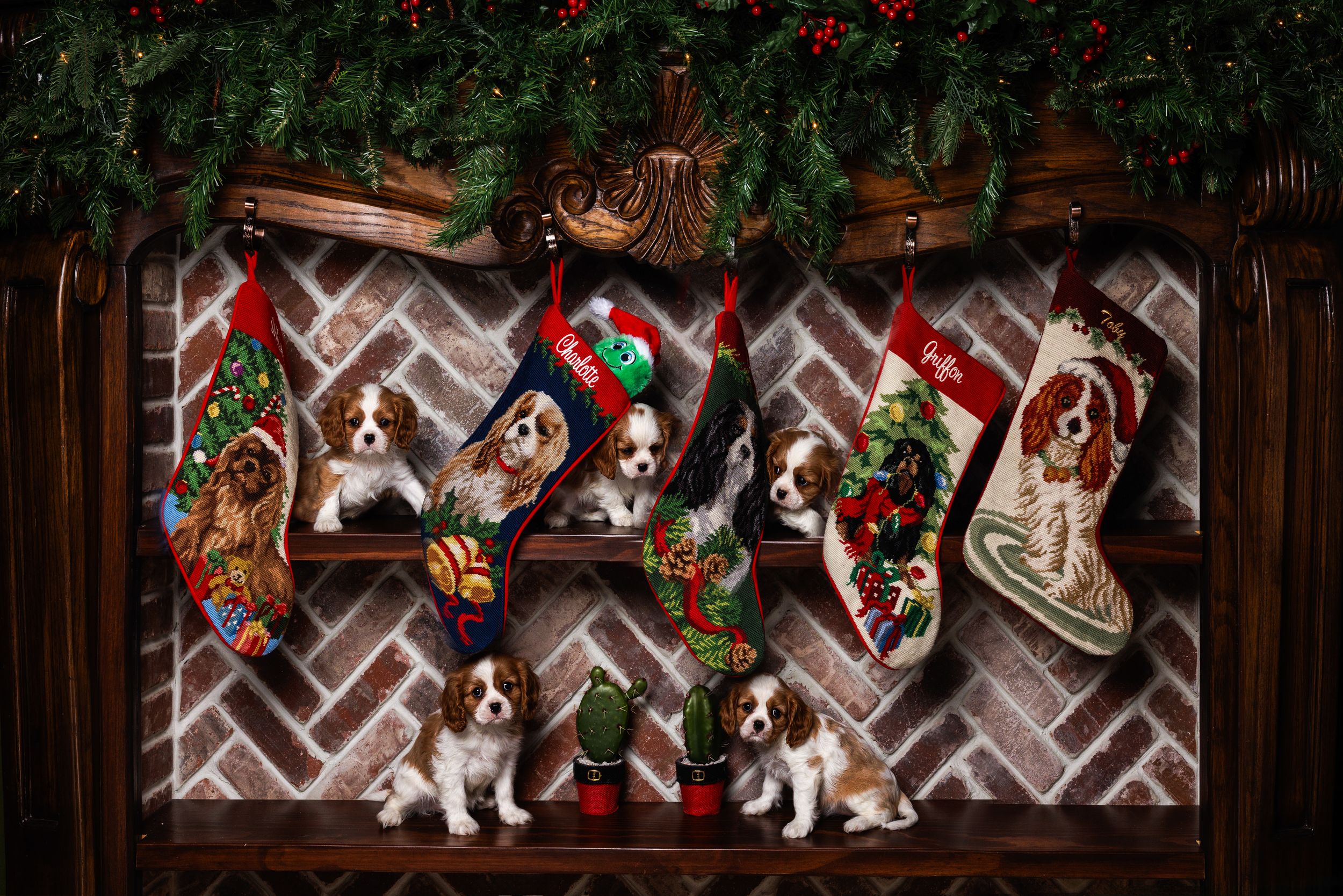Beagle puppies sit near decorated Christmas stockings and garland against a rustic wooden wall.