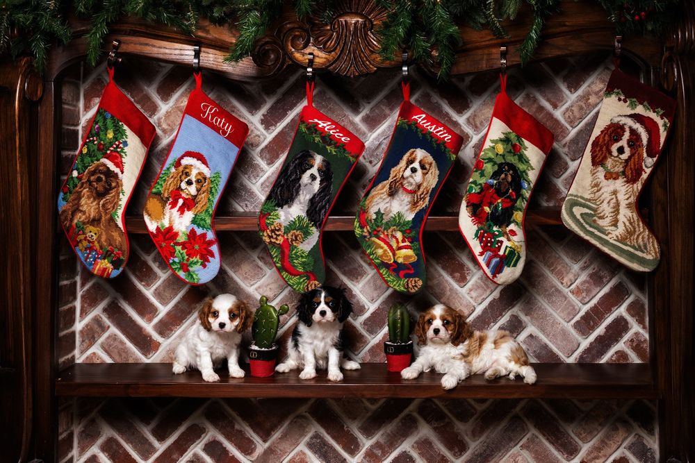 Festive holiday stockings and decorative garland hang on a wooden lattice wall with warm lighting.
