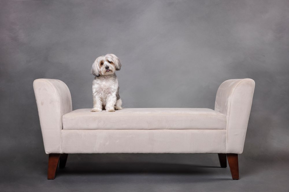 A light gray tuxedo sofa with rolled arms and wooden legs shown from multiple angles against a dark background.