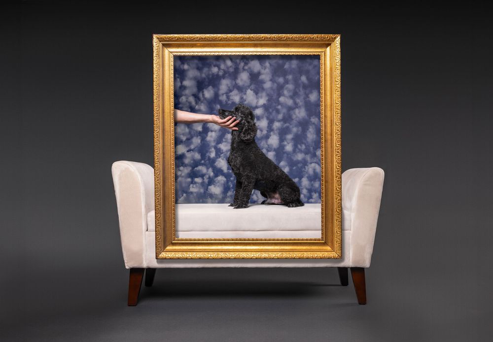 Set of empty gold picture frames arranged against a dark backdrop with dramatic lighting effects.