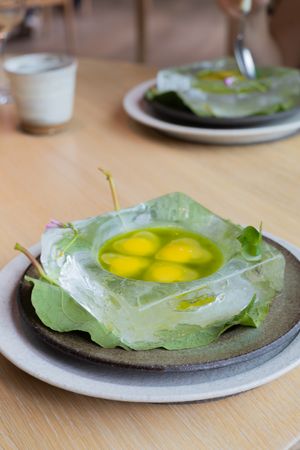 Artistic plating of yellow spherical garnishes on lettuce leaves with clear gelatin.