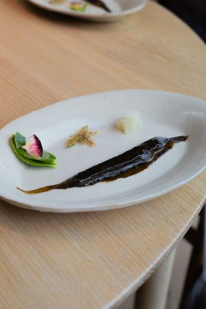 An artistic plating with a dark sauce, radish, and garnish on a white plate.