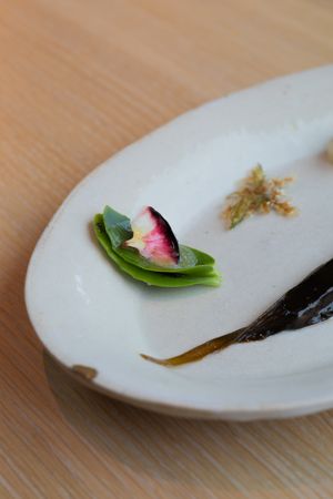 Close-up of radish and green leaf garnish on a modern white plate.