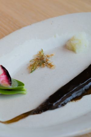 Elegant plating with pink radish, herbs, and black sauce on white porcelain.