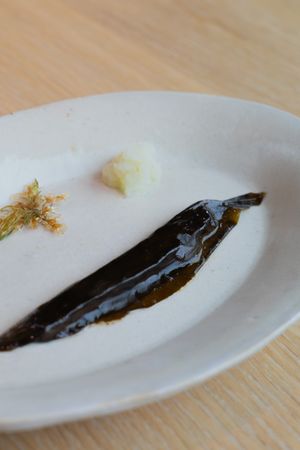 Minimalist dish featuring a dark sauce and white garnish on ceramic plate.
