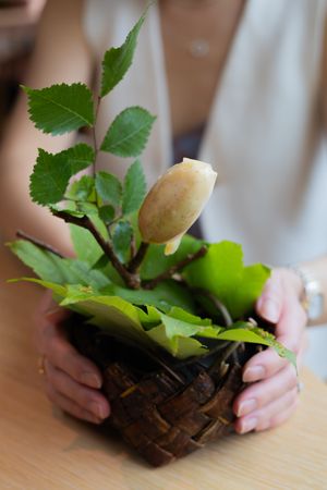 White flower bud and green leaves displayed in a woven basket container.