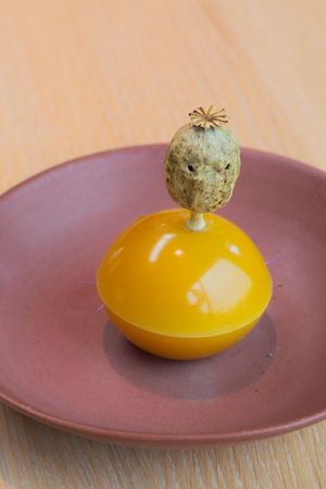 A dried poppy pod sits atop a yellow dome-shaped object on a rustic brown plate.