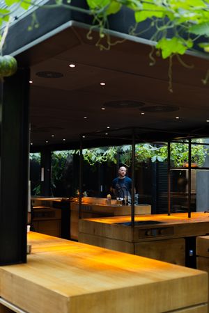 Modern restaurant interior featuring sleek wooden counters and natural greenery overhead.