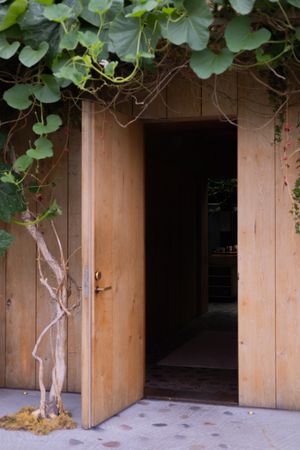 Wooden doorway entrance framed by climbing vines and natural foliage.