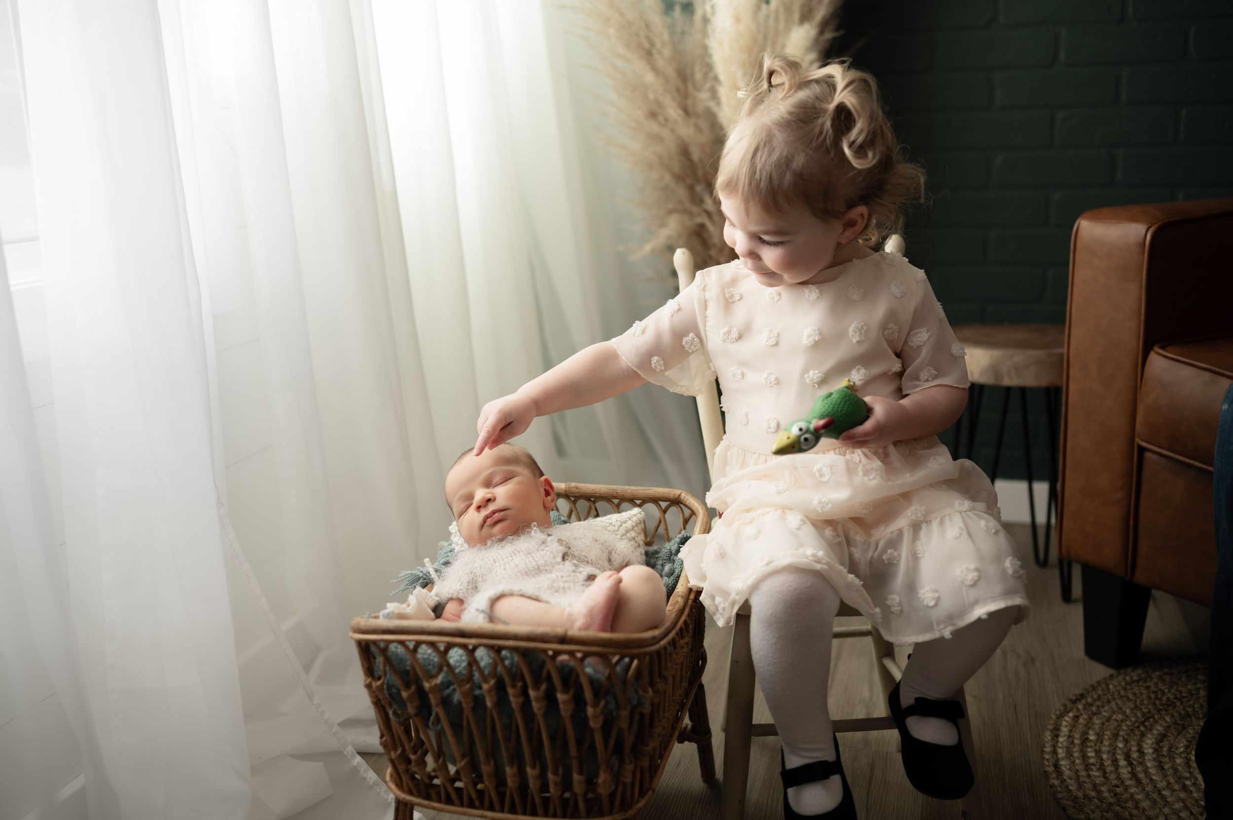 Newborn Gallery of pictures taken by Dawn Kroening Photography located in Ponoka Alberta