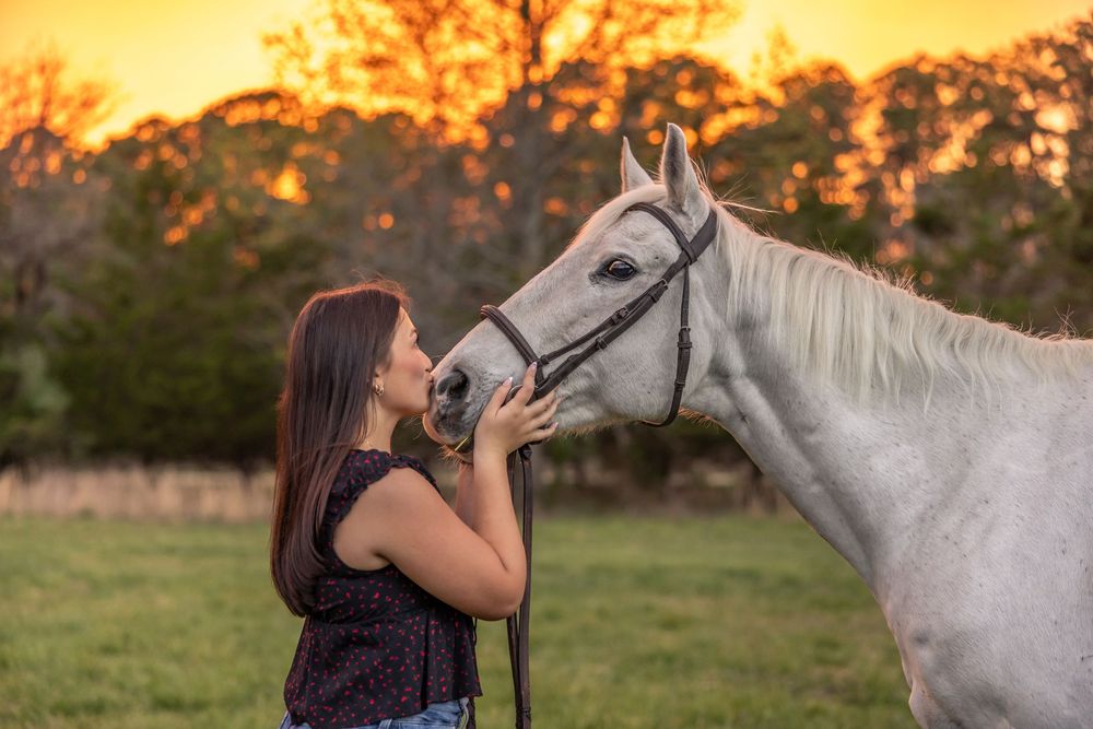 A young woman affectionately nuzzles a white horse at golden sunset with lush green trees in the background.