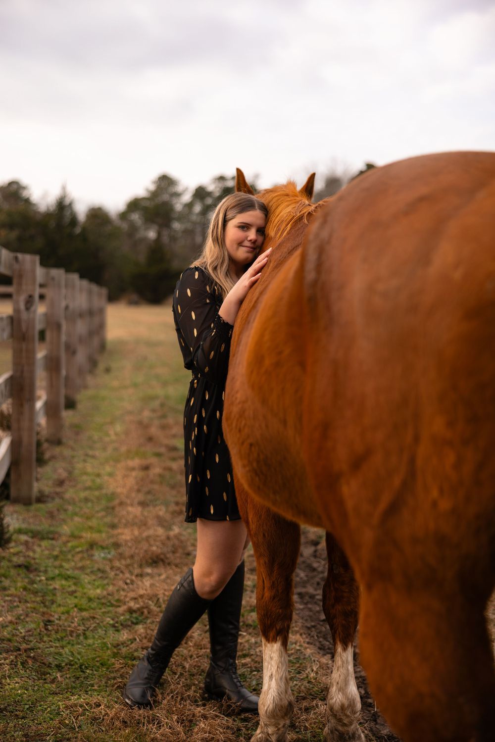 Brown horse and caretaker interact along wooden fence line on overcast day.