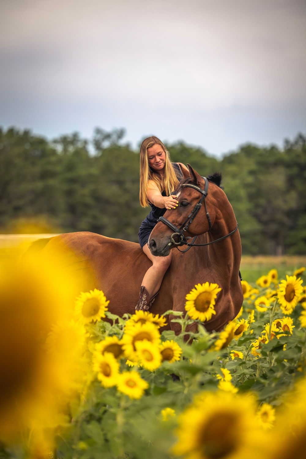 A horse and rider surrounded by blooming yellow sunflowers in a summer field.