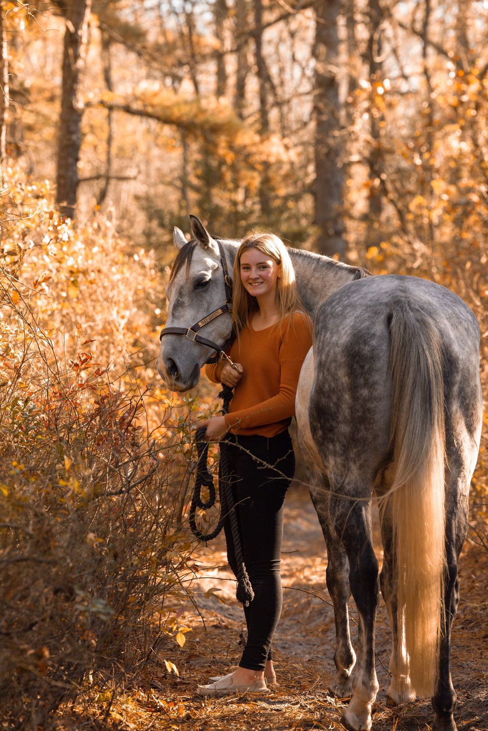 A dappled grey horse stands in an autumn forest with golden leaves.