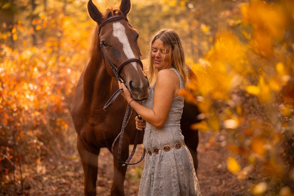 Beautiful horse portrait session amid golden fall foliage at sunset.