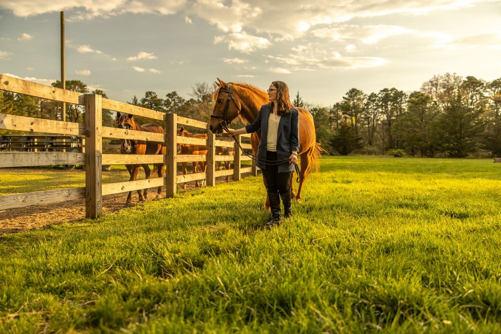 Woman walking a chestnut horse along a wooden fence in a lush green pasture at golden hour sunset.