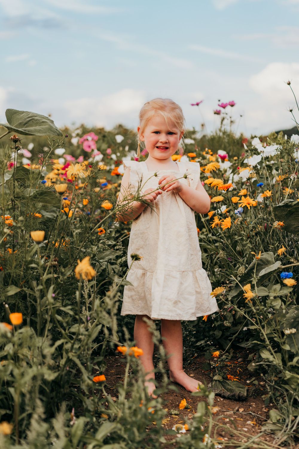 A small child in a white dress stands among colorful wildflowers in a sunny garden field. Family Photoshoot. Writtle Sunflowers.