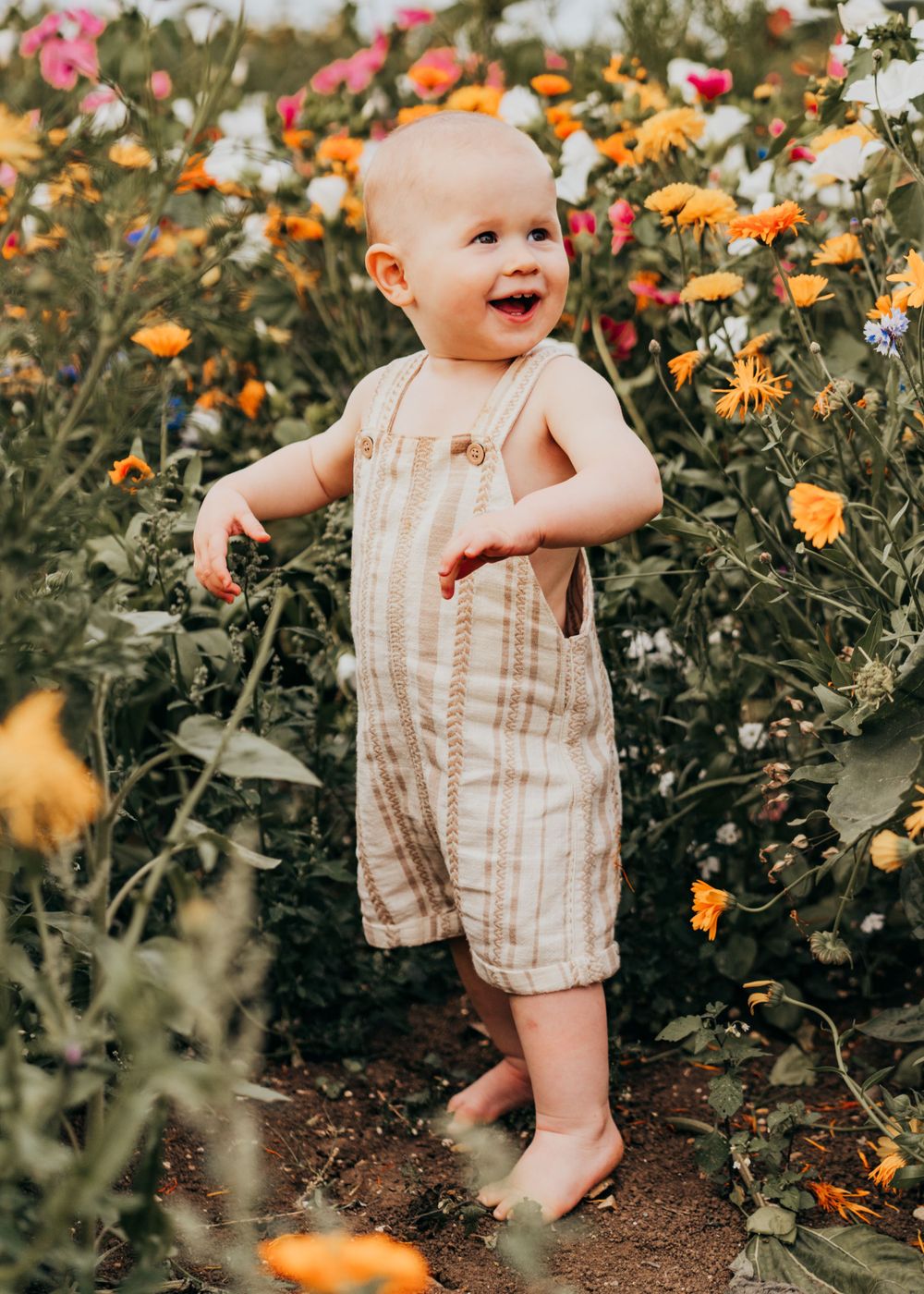 A small child in striped overalls stands joyfully among orange and pink flowers in a garden. Family Photoshoot. Writtle Sunflowers.